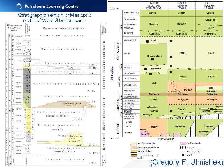 21 Stratigraphic section of Mesozoic rocks of West Siberian basin (Gregory F. Ulmishek) 