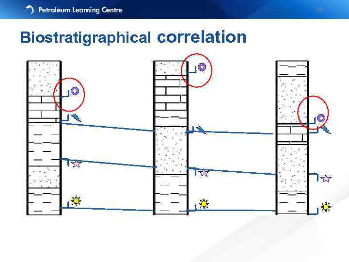 33 Biostratigraphical correlation 