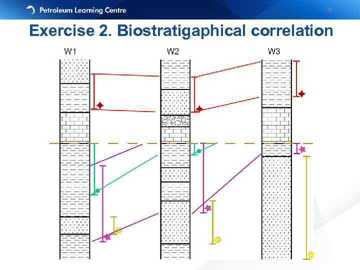 35 Exercise 2. Biostratigaphical correlation 