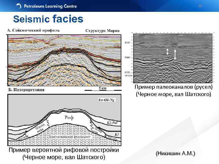 46 Seismic facies Пример палеоканалов (русел) (Черное море, вал Шатского) Пример вероятной рифовой постройки