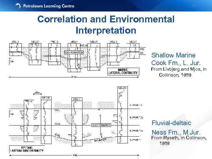 71 Correlation and Environmental Interpretation Shallow Marine Cook Fm. , L. Jur. From Livbjerg