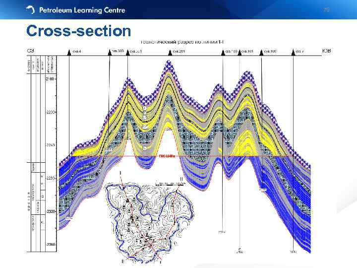 79 Cross-section 