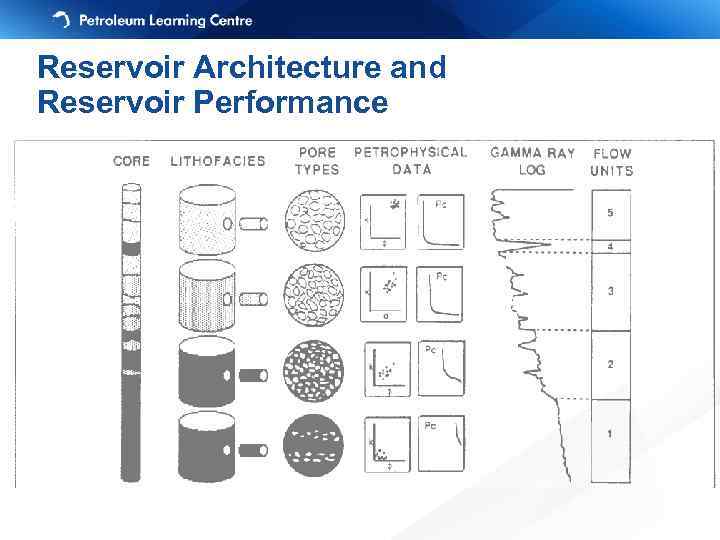 Reservoir Architecture and Reservoir Performance 