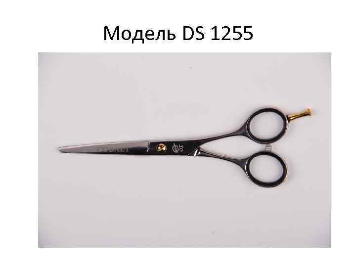 Модель DS 1255 