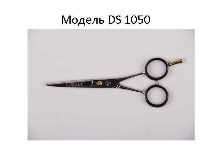 Модель DS 1050 