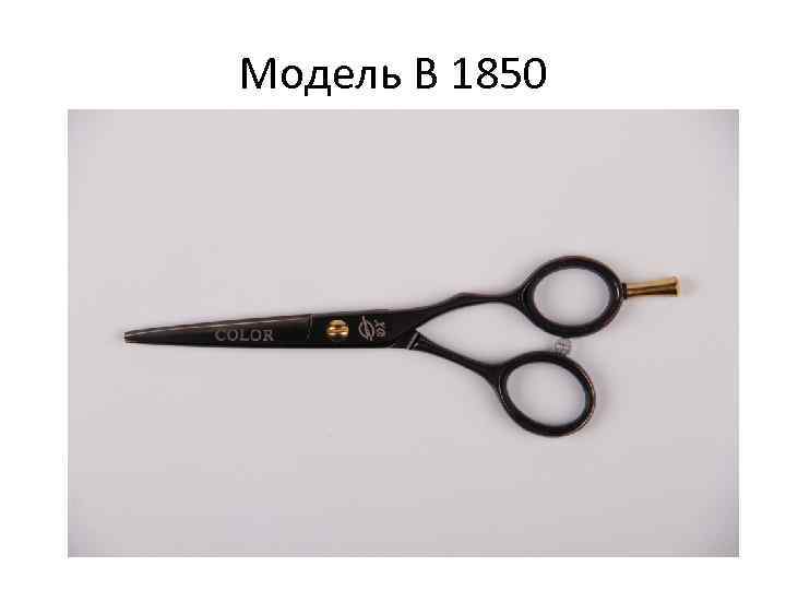 Модель В 1850 