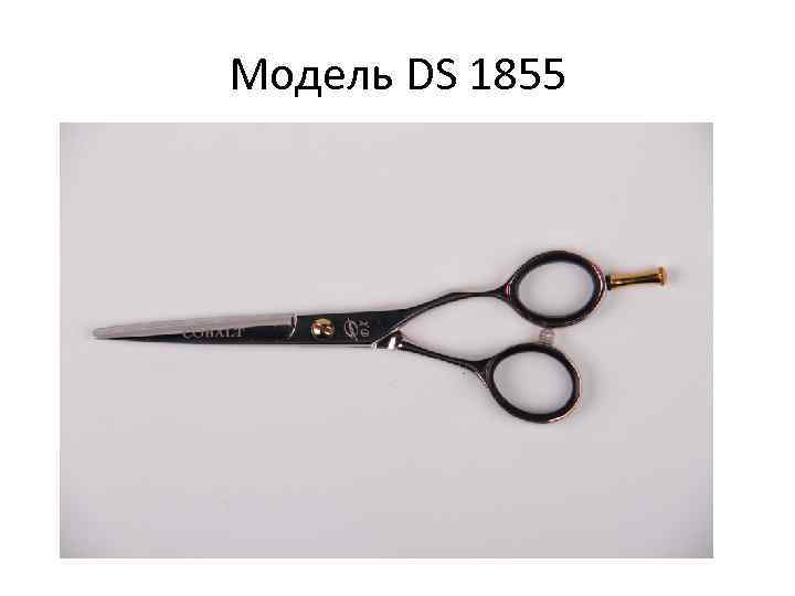 Модель DS 1855 