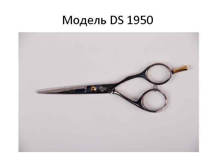 Модель DS 1950 