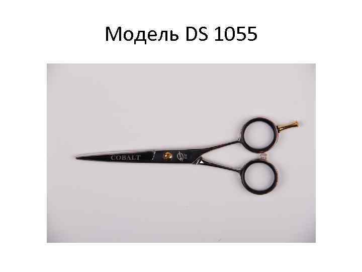 Модель DS 1055 