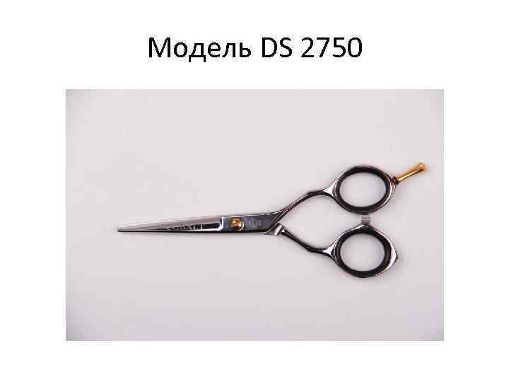 Модель DS 2750 