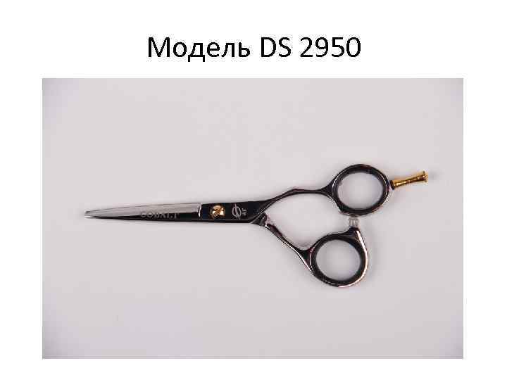 Модель DS 2950 