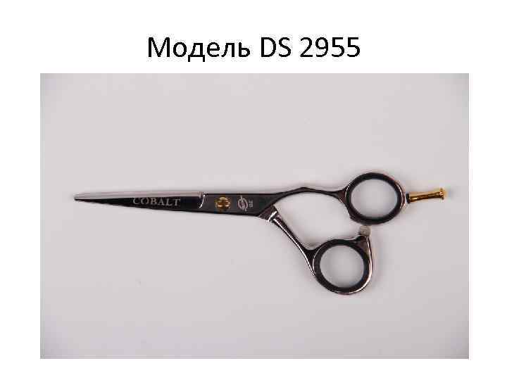 Модель DS 2955 