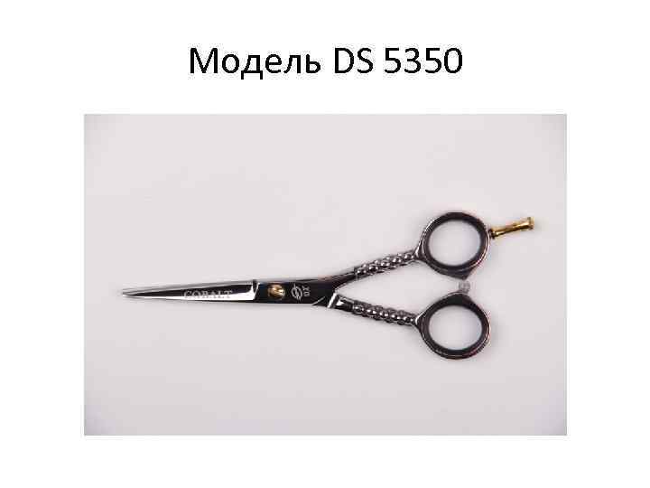 Модель DS 5350 