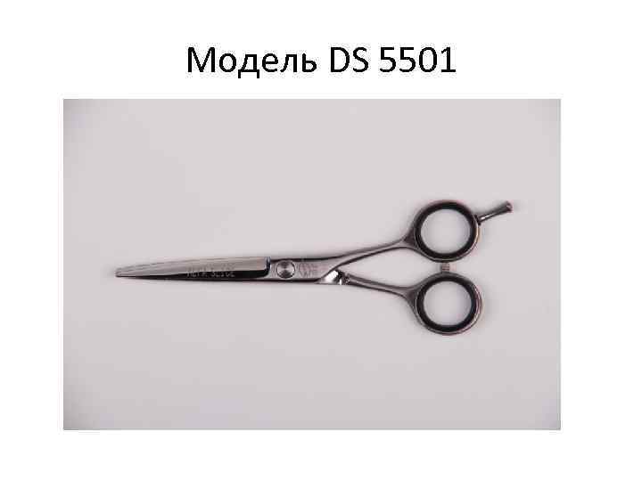 Модель DS 5501 
