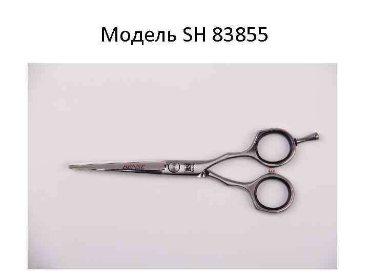 Модель SH 83855 