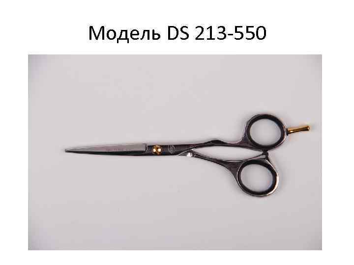 Модель DS 213 -550 