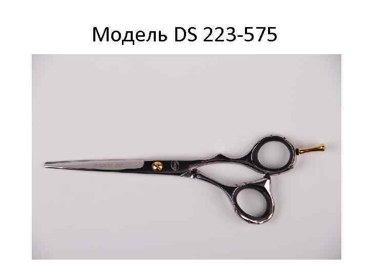 Модель DS 223 -575 