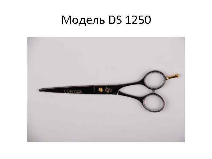 Модель DS 1250 