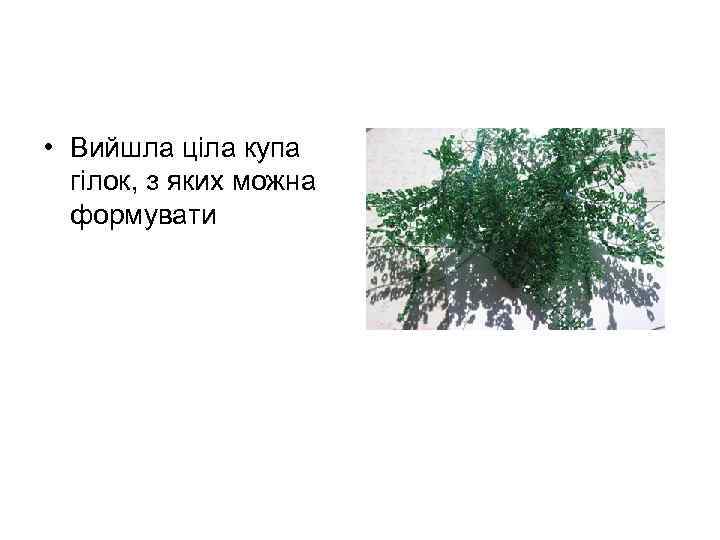  • Вийшла ціла купа гілок, з яких можна формувати 