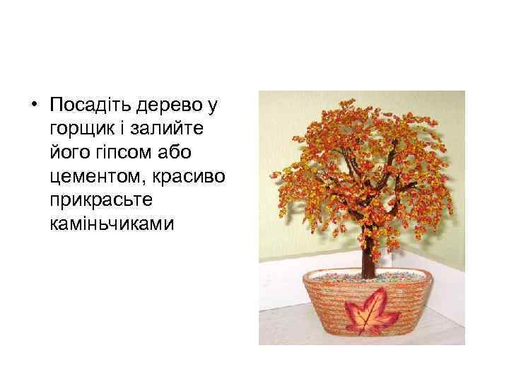  • Посадіть дерево у горщик і залийте його гіпсом або цементом, красиво прикрасьте