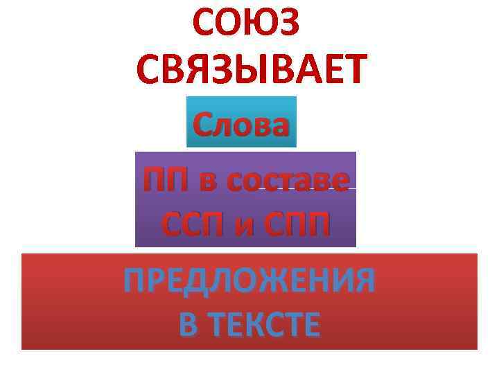 СОЮЗ СВЯЗЫВАЕТ Слова ПП в составе ССП и СПП ПРЕДЛОЖЕНИЯ В ТЕКСТЕ 