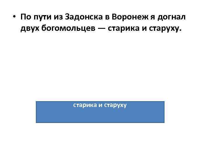  • По пути из Задонска в Воронеж я догнал двух богомольцев — старика