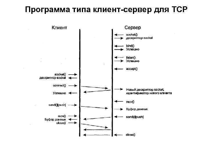 Программа типа клиент-сервер для TCP 