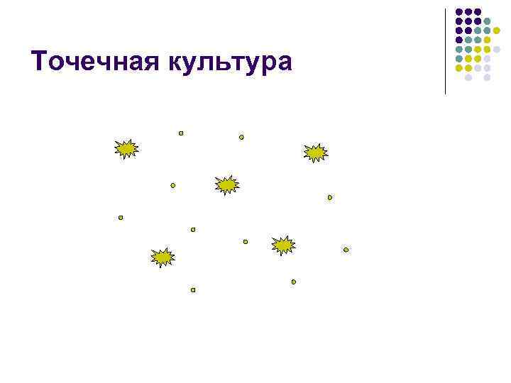 Точечная культура 