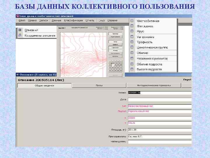 БАЗЫ ДАННЫХ КОЛЛЕКТИВНОГО ПОЛЬЗОВАНИЯ 