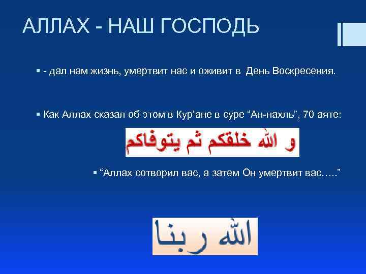 АЛЛАХ - НАШ ГОСПОДЬ § - дал нам жизнь, умертвит нас и оживит в