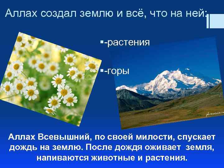 Аллах создал землю и всё, что на ней: §-растения §-горы Аллах Всевышний, по своей