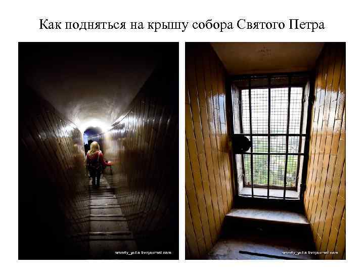 Как подняться на крышу собора Святого Петра 