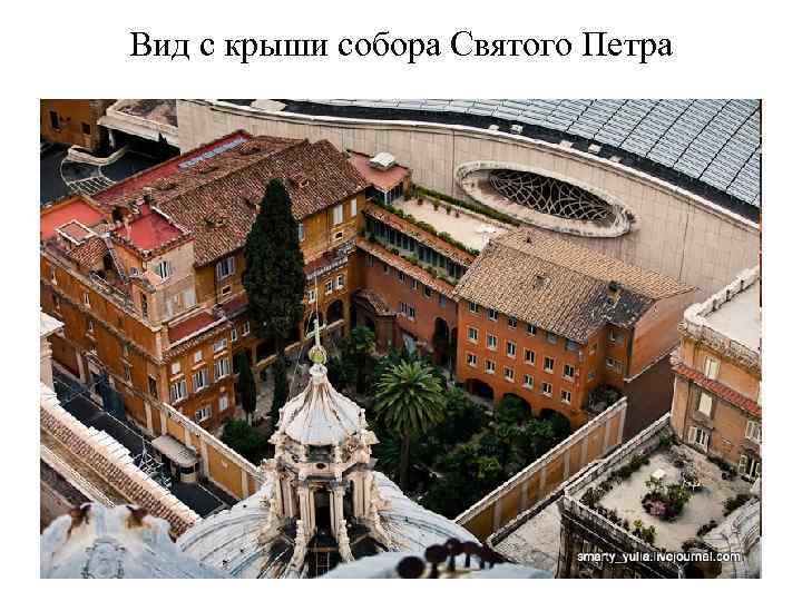Вид с крыши собора Святого Петра 