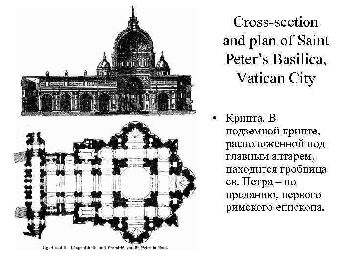 Cross-section and plan of Saint Peter’s Basilica, Vatican City • Крипта. В подземной крипте,