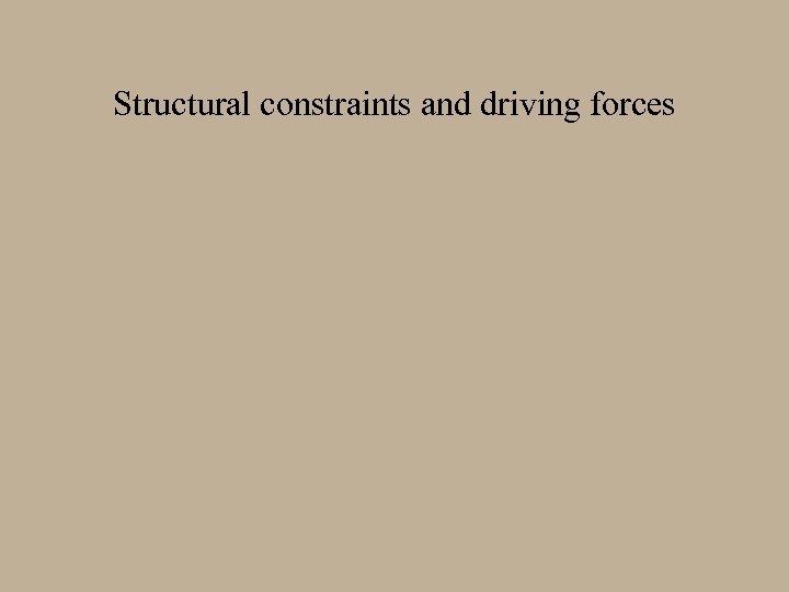 Structural constraints and driving forces 