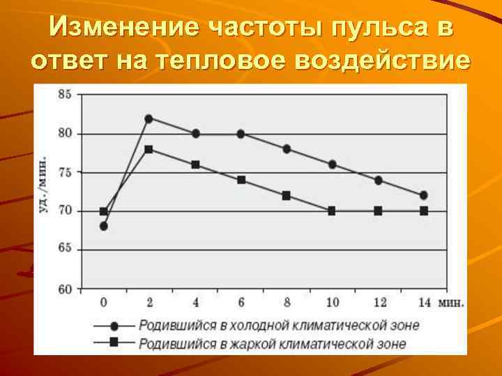 Изменение частоты пульса в ответ на тепловое воздействие 