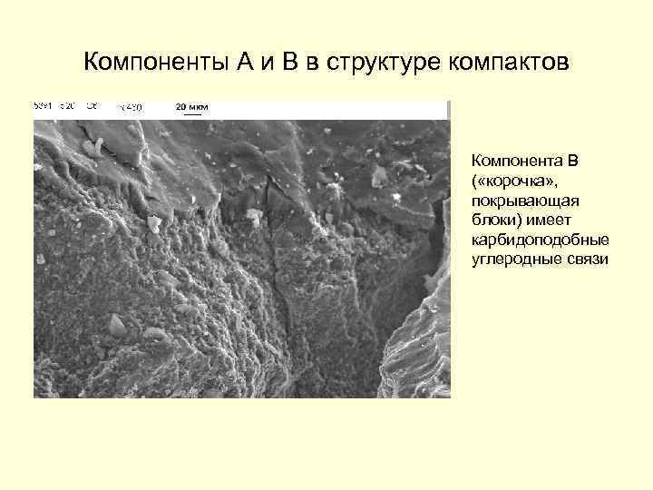 Компоненты А и В в структуре компактов Компонента В ( «корочка» , покрывающая блоки)