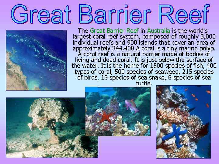  The Great Barrier Reef in Australia is the world's largest coral reef system,
