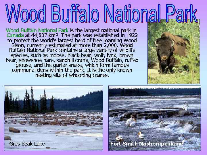 Wood Buffalo National Park is the largest national park in Canada at 44, 807