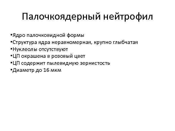 Палочкоядерный нейтрофил • Ядро палочковидной формы • Структура ядра неравномерная, крупно глыбчатая • Нуклеолы