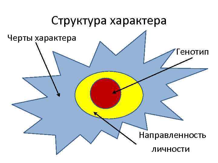 Структура характера Черты характера Генотип Направленность личности 