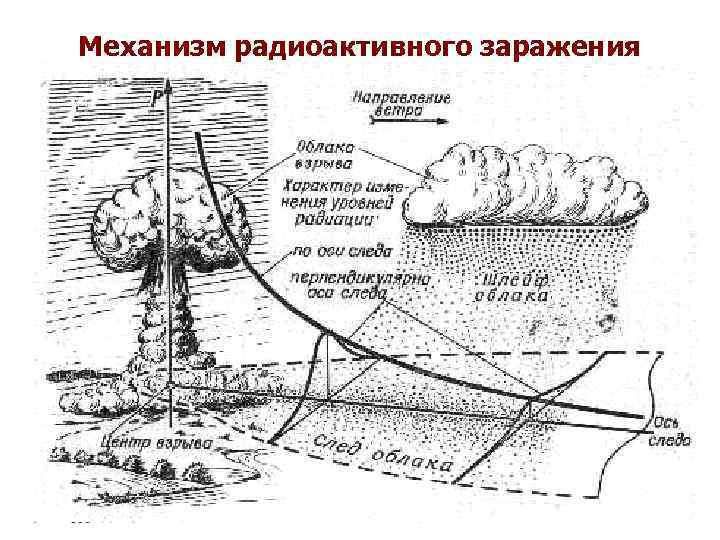 Механизм радиоактивного заражения 