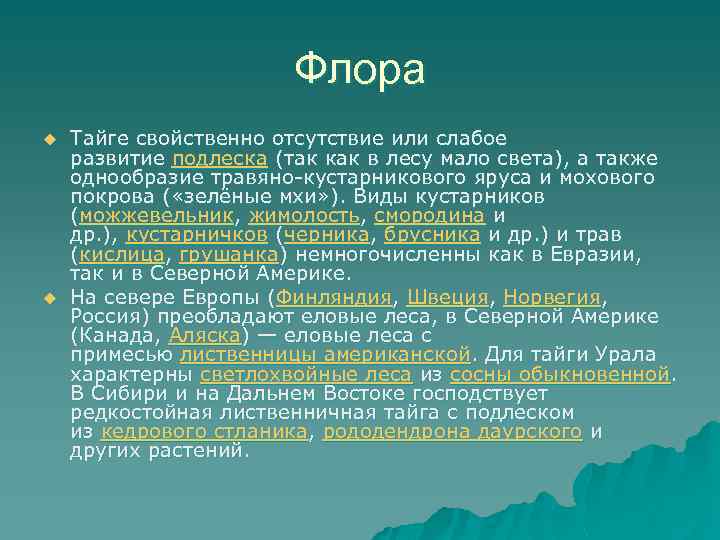 Флора u u Тайге свойственно отсутствие или слабое развитие подлеска (так как в лесу