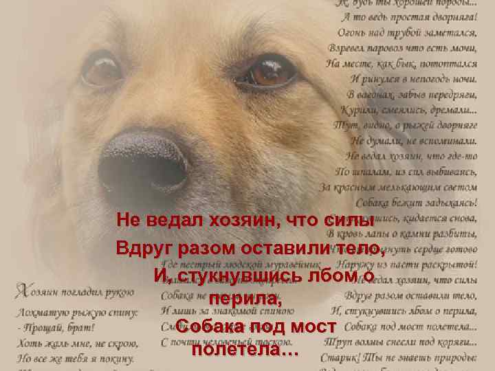 Не ведал хозяин, что силы Вдруг разом оставили тело, И, стукнувшись лбом о перила,