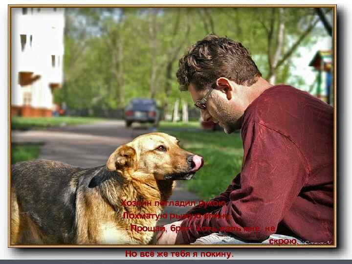 Хозяин погладил рукою Лохматую рыжую спину: - Прощай, брат! Хоть жаль мне, не скрою,