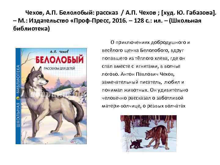 Чехов, А. П. Белолобый: рассказ / А. П. Чехов ; [худ. Ю. Габазова]. –