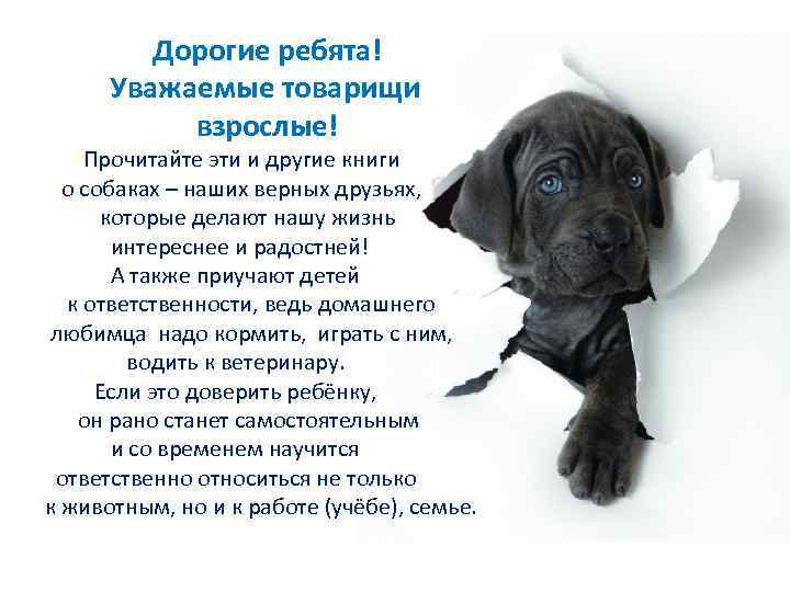Дорогие ребята! Уважаемые товарищи взрослые! Прочитайте эти и другие книги о собаках – наших
