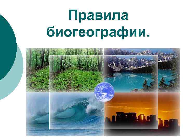 Правила биогеографии. 