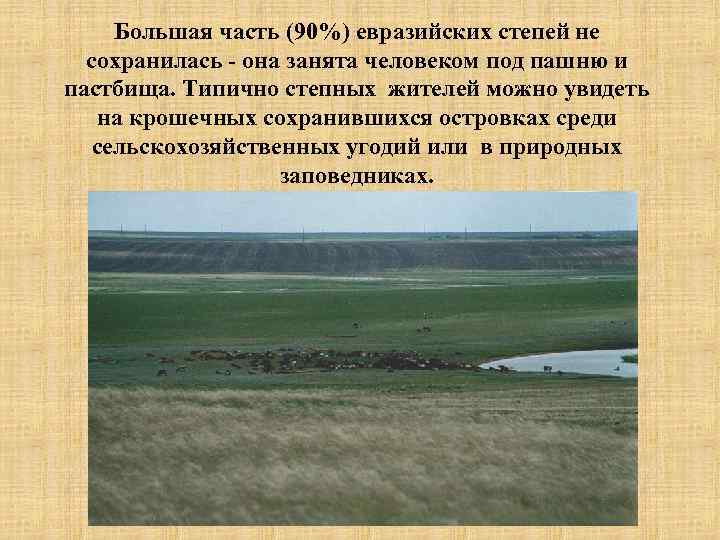 Государства и народы евразийских степей