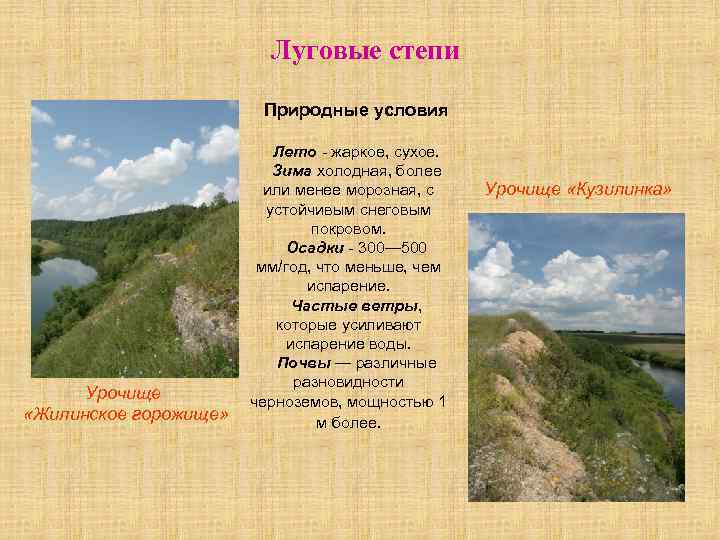 Какие природные условия. Природные условия степи. Природные условия степи в России. Природные условия степи 5 класс биология. Природно климатические условия степи.